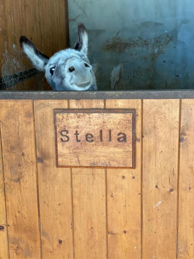 Agriturismo Da Baffone Santo Stefano del Sole Eksteriør bilde